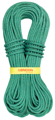 Динамічна мотузка Tendon Master 9.4 STD 60 м (TND D094TM42S060C)