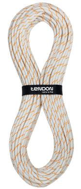 Статическая веревка Tendon Speleo 10.0 STD, White, 100м (TND S100TS41S100R)