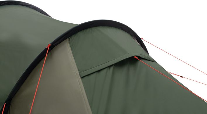 Палатка двухместная Easy Camp Magnetar 200 Rustic Green (120414)