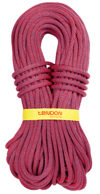 Динамическая веревка Tendon Ambition 10.5 STD 60 м (TND D105TA41S060C)