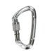 Карабін Climbing Technology Lime SG Silver