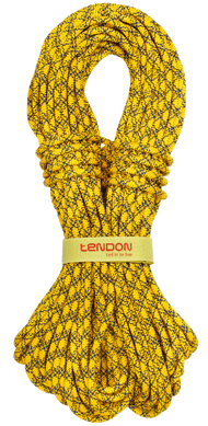 Мотузка Tendon Ambition 8.5 STD 50 м (TND D085TB41S050C)