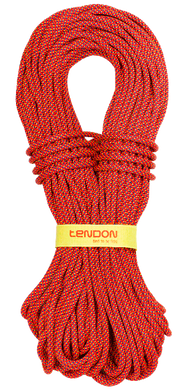 Динамічний мотузок Tendon Alpine 7.9 STD, Red, 60м (TND D079TL41S060C)