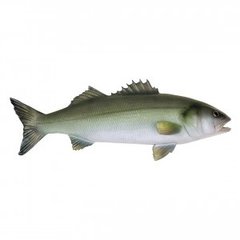 Рыба Polyresin fish Seabass