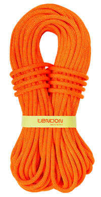 Динамічна мотузка Tendon Ambition TeFix 10.2 STD, Orange, 60м (TND D102AF42S060C)